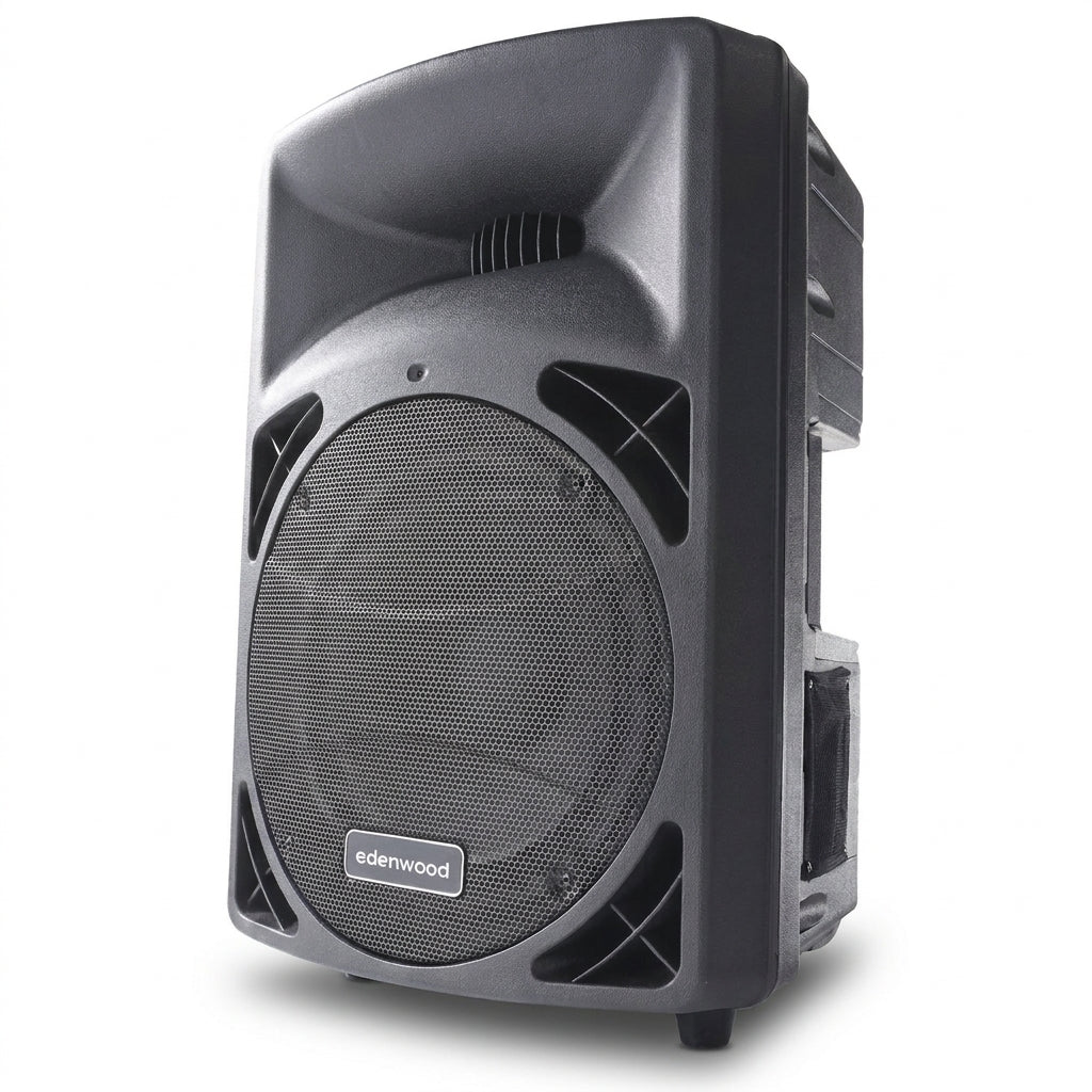 Enceinte 500W